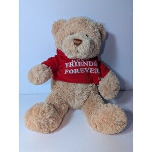 GUND Bear Hugs Best Friends Forever Plush Teddy Bear Tan Red Hood T Shirt 12"
